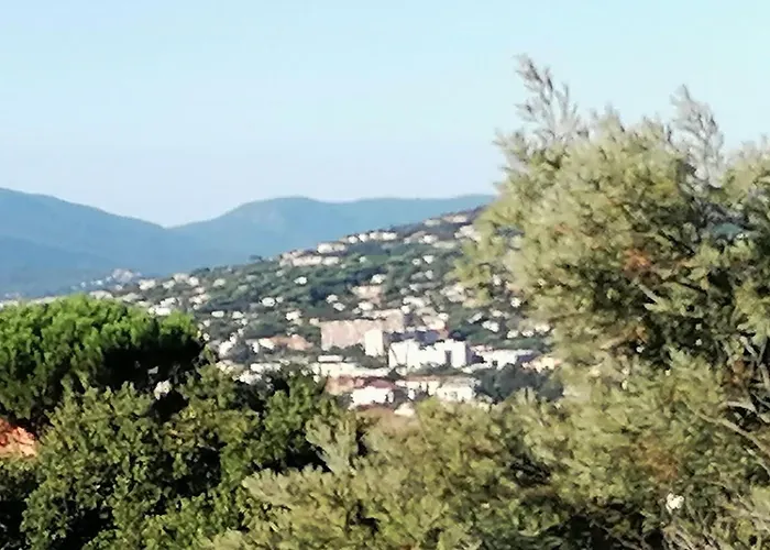 Apartman With Pool Near The Golf Course Sainte-Maxime